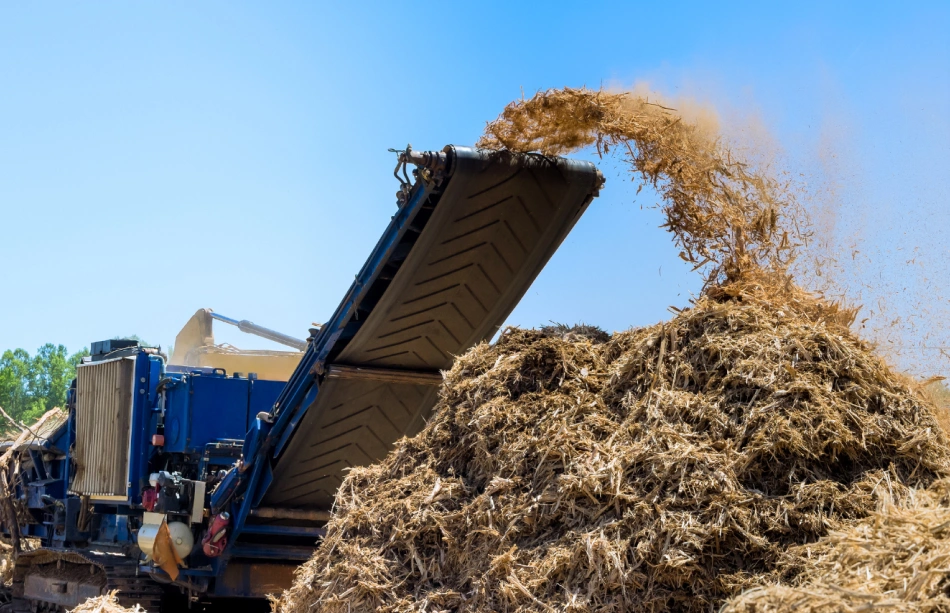 Forestry Mulching & Vegetation Management