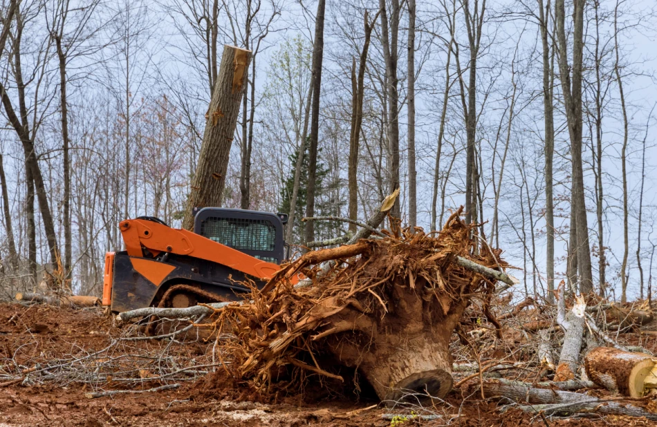 Land Clearing & Lot Preparation Services